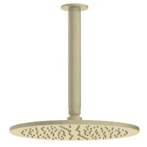 Pinnacles Ceiling Shower Arm and  Head Soft Gold Brushed by null, a Shower Heads & Mixers for sale on Style Sourcebook