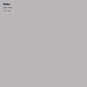 Silver Thaw by Dulux, a Ethereal for sale on Style Sourcebook