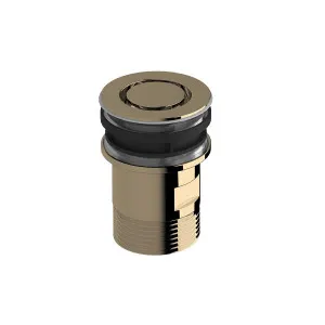 Sussex Taps Bath Plug and Waste Living Polished Brass SXBHPW-24 by Sussex Taps, a Kitchen Taps & Mixers for sale on Style Sourcebook