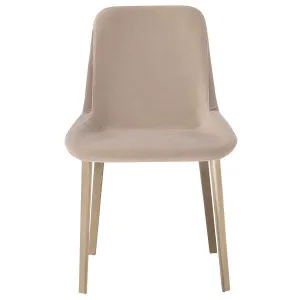 Amura Panis 332 Chair - Nobilis 02 AM078-332 by Amura, a Chairs for sale on Style Sourcebook
