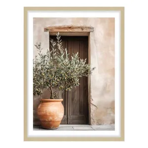 Avina Framed Print in 84 x 118cm by OZ Design, a Prints for sale on Style Sourcebook