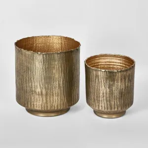 Anka Planters Set of 2 Antique Gold by Florabelle Living, a Plant Holders for sale on Style Sourcebook
