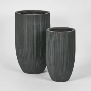 Alicia Planter Set of 2 Black by Florabelle Living, a Plant Holders for sale on Style Sourcebook