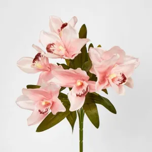 Cymbidium Bush Peach Pink by Florabelle Living, a Plants for sale on Style Sourcebook