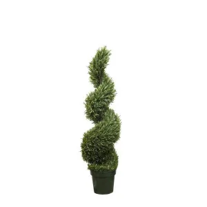Rosemary Spiral Tree 1.2m by Florabelle Living, a Plants for sale on Style Sourcebook