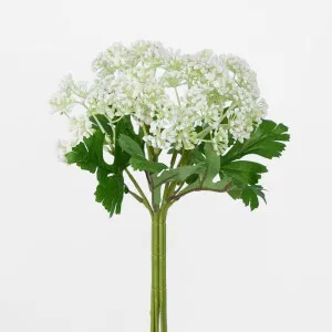 Snow Flower Bunch White by Florabelle Living, a Plants for sale on Style Sourcebook