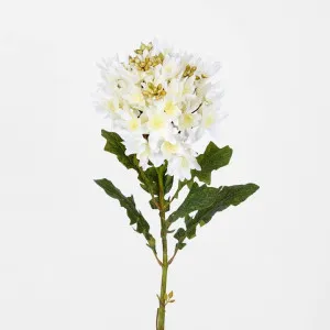 Agapanthus Stem White by Florabelle Living, a Plants for sale on Style Sourcebook