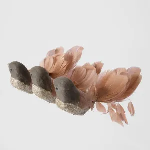 Melvin Clip on Bird Set of 3 Brown by Florabelle Living, a Christmas for sale on Style Sourcebook
