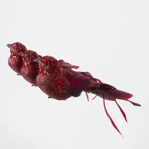 Calypso Clip on Bird Set of 3 Red by Florabelle Living, a Christmas for sale on Style Sourcebook
