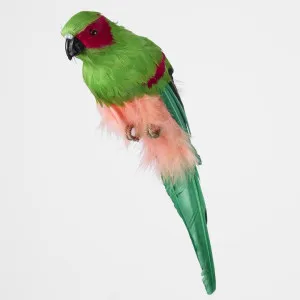 Aston Green Parrot by Florabelle Living, a Christmas for sale on Style Sourcebook