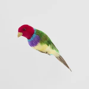 Red Headed Finch by Florabelle Living, a Christmas for sale on Style Sourcebook
