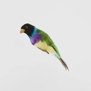 Black Headed Finch by Florabelle Living, a Christmas for sale on Style Sourcebook