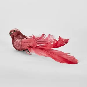 Delicia Clip on Bird Fuchsia (Set of 6) by Florabelle Living, a Christmas for sale on Style Sourcebook