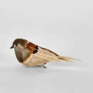 Lorri Clip on Bird Natural (Set of 6) by Florabelle Living, a Christmas for sale on Style Sourcebook