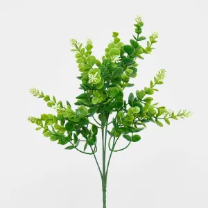 Flowering Eucalyptus Bush by Florabelle Living, a Plants for sale on Style Sourcebook