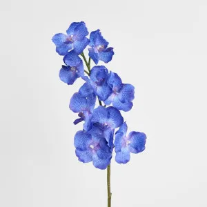 Real Touch Orchid 100cm Blue by Florabelle Living, a Plants for sale on Style Sourcebook