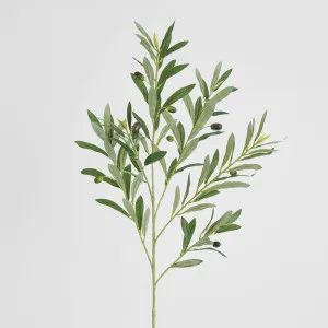 Single Olive Spray 89cm by Florabelle Living, a Plants for sale on Style Sourcebook