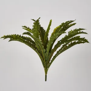 Margarintum Bush 24lvs by Florabelle Living, a Plants for sale on Style Sourcebook