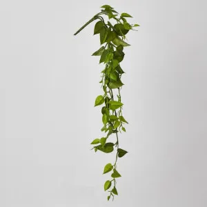 Philo Vine 76cm by Florabelle Living, a Plants for sale on Style Sourcebook