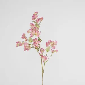 Bougainvillea Spray 97cm Pink by Florabelle Living, a Plants for sale on Style Sourcebook