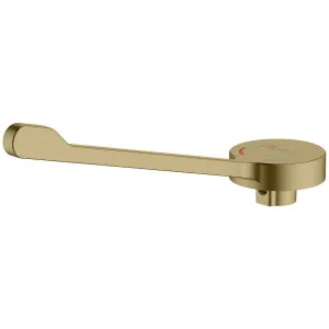 Oliveri Venice Care Handle Pin Lever For Basin Mixers - Classic Gold SPB0256 by Oliveri, a Kitchen Taps & Mixers for sale on Style Sourcebook