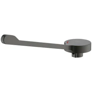 Oliveri Venice Care Handle Pin Lever For Basin Mixers - Gunmetal SPB0254 by Oliveri, a Kitchen Taps & Mixers for sale on Style Sourcebook
