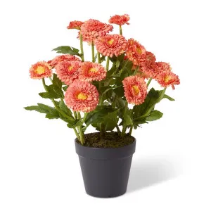Chrysanthemum Spray Plant - 26 x 26 x 38cm by Elme Living, a Plants for sale on Style Sourcebook