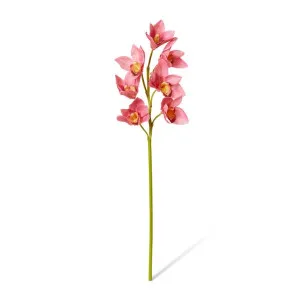 Cymbidium Lush Stem - 18 x 10 x 58cm by Elme Living, a Plants for sale on Style Sourcebook