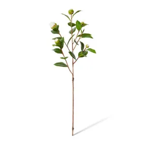 Camellia Bud Spray - 25 x 25 x 66cm by Elme Living, a Plants for sale on Style Sourcebook