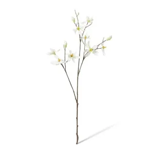 Magnolia Japanese Spray - 40 x 30 x 105cm by Elme Living, a Plants for sale on Style Sourcebook