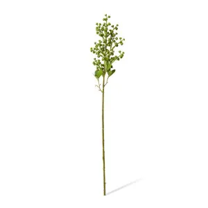 Eucy Nut Pick - 10 x 7 x 53 cm by Elme Living, a Plants for sale on Style Sourcebook