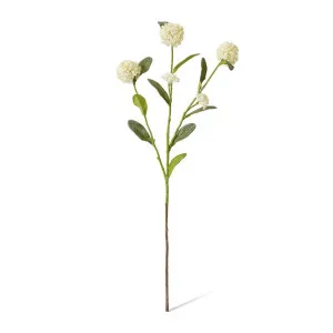 Alyssum Spray - 17 x 12 x 66 cm by Elme Living, a Plants for sale on Style Sourcebook