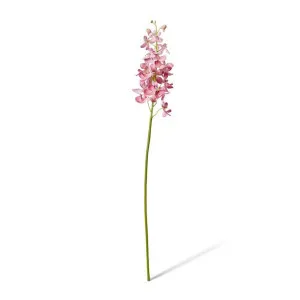 Orchid Vanda Stem - 9 x 10 x 69cm by Elme Living, a Plants for sale on Style Sourcebook
