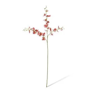 Dancing Orchid Spray  - 23 x 10 x 97cm by Elme Living, a Plants for sale on Style Sourcebook