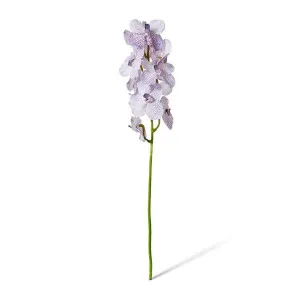 Vanda Orchid - 16 x 16 x 80cm by Elme Living, a Plants for sale on Style Sourcebook