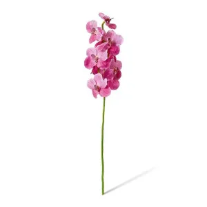 Vanda Orchid - 16 x 16 x 80cm by Elme Living, a Plants for sale on Style Sourcebook