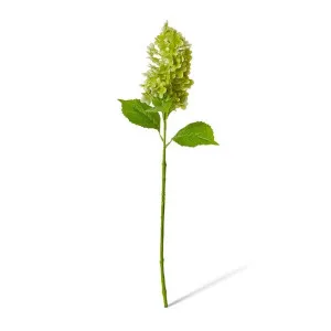 Cone Hydrangea  - 20 x 20 x 75cm by Elme Living, a Plants for sale on Style Sourcebook