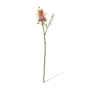 Grevillia Flower Lg Stem - 12 x 12 x 64cm by Elme Living, a Plants for sale on Style Sourcebook