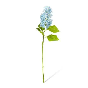 Cone Hydrangea  - 20 x 20 x 75cm by Elme Living, a Plants for sale on Style Sourcebook