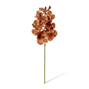 Vanda Grand Orchid - 25 x 25 x 71cm by Elme Living, a Plants for sale on Style Sourcebook