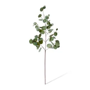 Eucalyptus Silver Dollar Spray - 35 x 25 x 99cm by Elme Living, a Plants for sale on Style Sourcebook