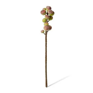 Fig Stem - 15 x 15 x 56cm by Elme Living, a Plants for sale on Style Sourcebook