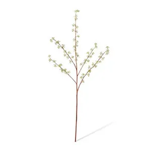 Seeding Eucalyptus Spray - 26 x 26 x 85cm by Elme Living, a Plants for sale on Style Sourcebook