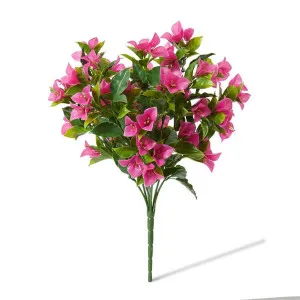 Bougainvillea (Outdoor) Bush - 30 x 30 x 50cm by Elme Living, a Plants for sale on Style Sourcebook