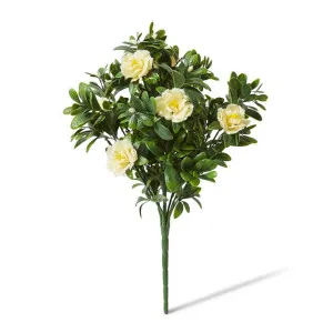 Begonia (Outdoor) Bush - 30 x 30 x 47cm by Elme Living, a Plants for sale on Style Sourcebook