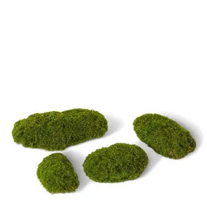 Moss Pad Assorted - 20 x 30 x 33cm by Elme Living, a Plants for sale on Style Sourcebook