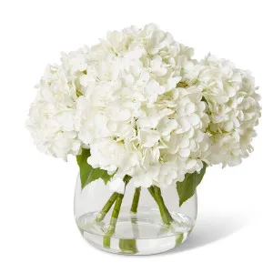 Hydrangea Classic White  - 34 x 34 x 34cm by Elme Living, a Plants for sale on Style Sourcebook