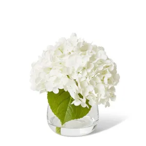 Hydrangea Classic White - 25 x 25 x 19cm by Elme Living, a Plants for sale on Style Sourcebook