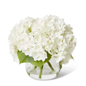 Hydrangea Classic White - 30 x 30 x 25cm by Elme Living, a Plants for sale on Style Sourcebook