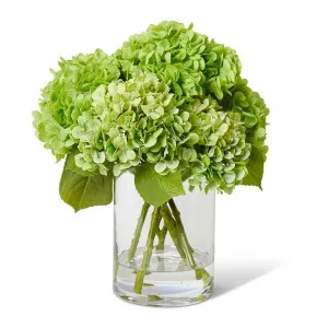Hydrangea Mix Green  - 36 x 36 x 35cm by Elme Living, a Plants for sale on Style Sourcebook